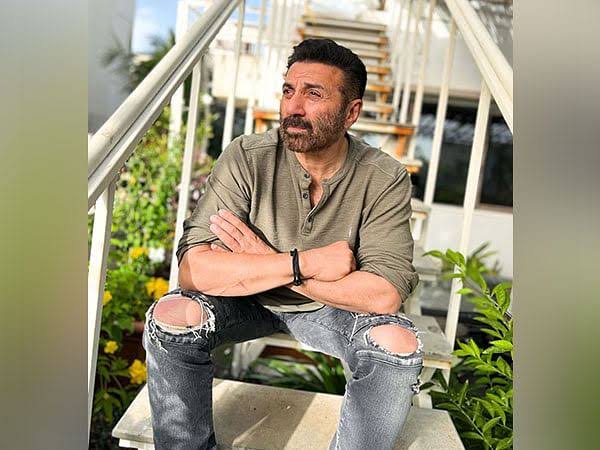 Bollywood News Sunny Deol&#39;s movie was a big hit at the country office on its third day of release, earning as many crores